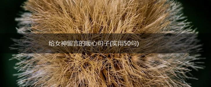 给女神留言的暖心句子(实用50句),第1张