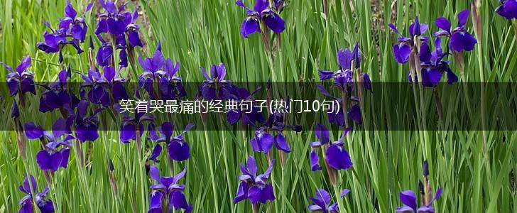 笑着哭最痛的经典句子(热门10句),第1张