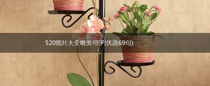 520图片大全唯美句子(优选69句),第1张