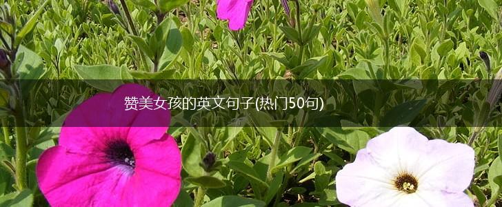 赞美女孩的英文句子(热门50句),第1张