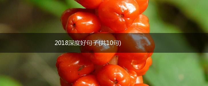 2018深度好句子(共10句),第1张