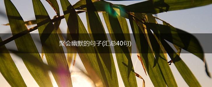 聚会幽默的句子(汇总40句),第1张
