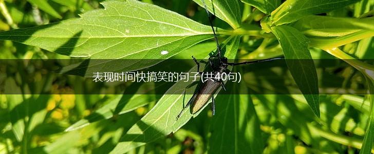 表现时间快搞笑的句子(共40句),第1张
