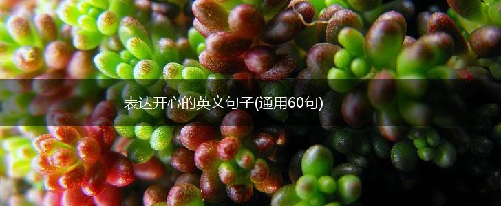 表达开心的英文句子(通用60句),第1张