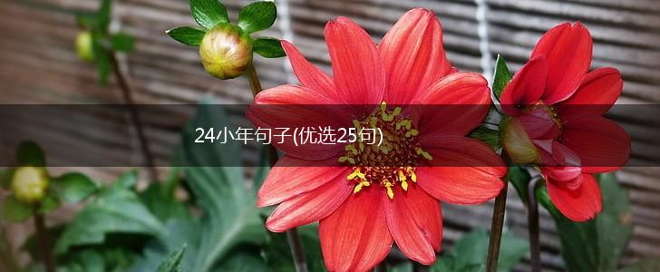 24小年句子(优选25句),第1张