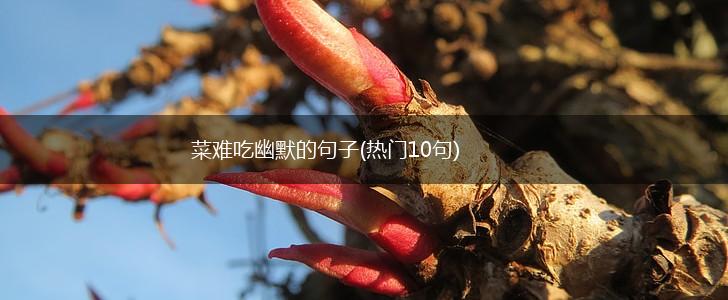 菜难吃幽默的句子(热门10句),第1张