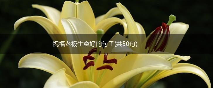 祝福老板生意好的句子(共50句),第1张