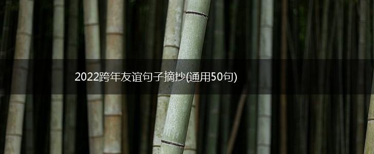 2022跨年友谊句子摘抄(通用50句),第1张