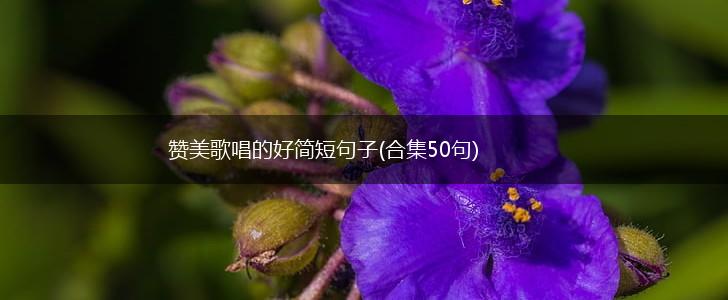 赞美歌唱的好简短句子(合集50句),第1张