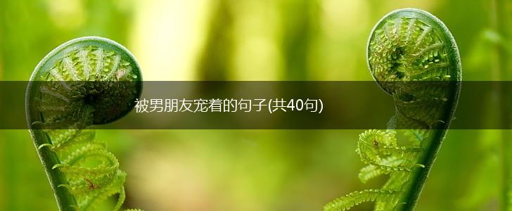 被男朋友宠着的句子(共40句),第1张