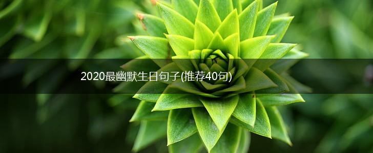 2020最幽默生日句子(推荐40句),第1张