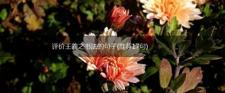 评价王羲之书法的句子(推荐17句),第1张