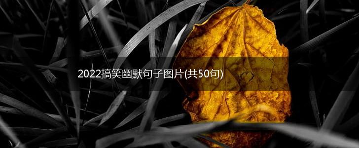 2022搞笑幽默句子图片(共50句),第1张