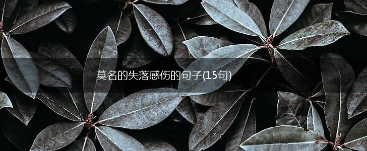 莫名的失落感伤的句子(15句),第1张