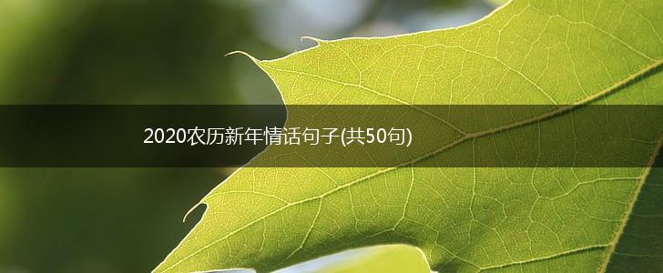 2020农历新年情话句子(共50句),第1张