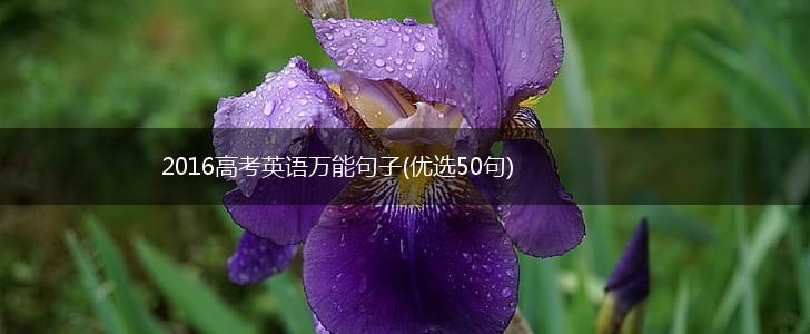 2016高考英语万能句子(优选50句),第1张