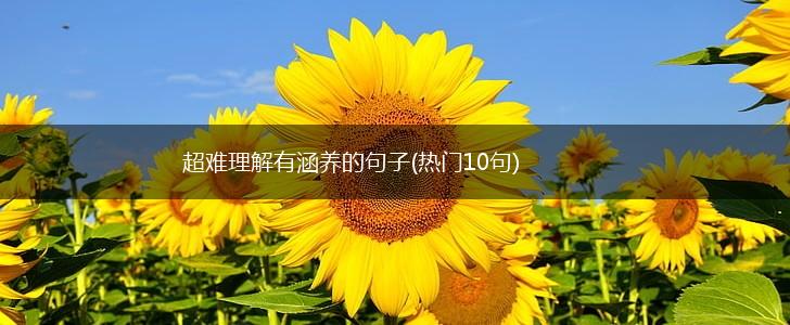 超难理解有涵养的句子(热门10句),第1张