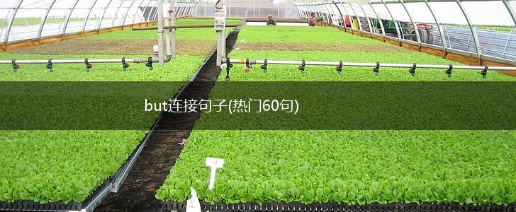 but连接句子(热门60句),第1张