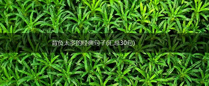 背负太多的经典句子(汇总30句),第1张
