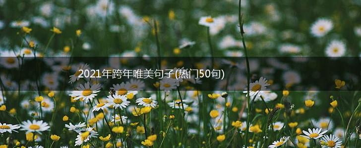 2021年跨年唯美句子(热门50句),第1张