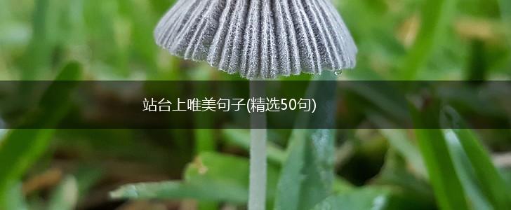站台上唯美句子(精选50句),第1张