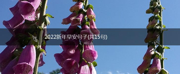 2022新年早安句子(共15句),第1张