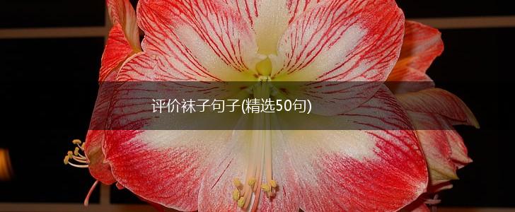 评价袜子句子(精选50句),第1张