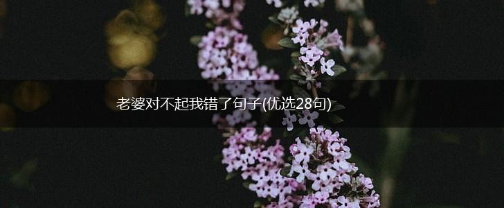 老婆对不起我错了句子(优选28句),第1张