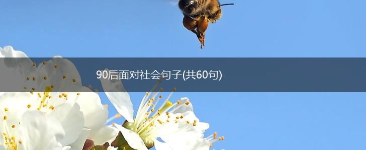 90后面对社会句子(共60句),第1张