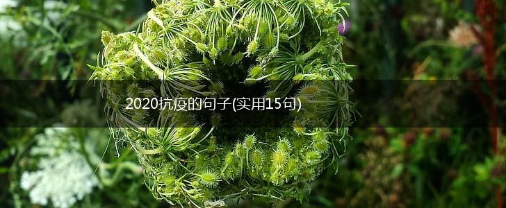 2020抗疫的句子(实用15句),第1张