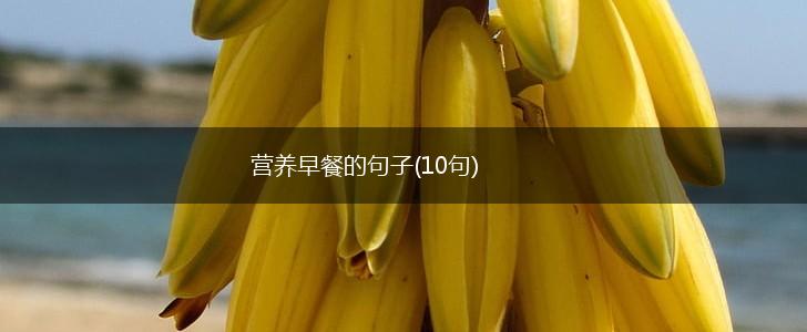 营养早餐的句子(10句),第1张