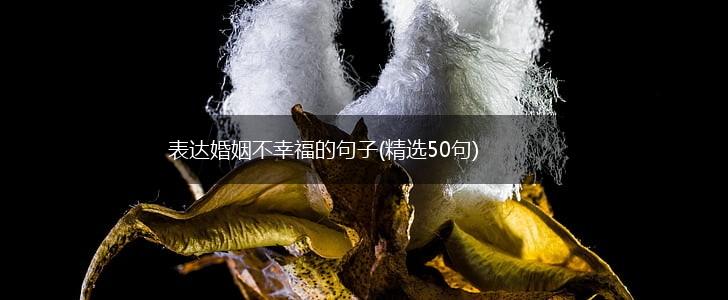 表达婚姻不幸福的句子(精选50句),第1张