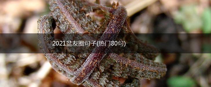 2021盆友圈句子(热门80句),第1张