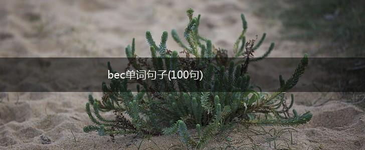 bec单词句子(100句),第1张