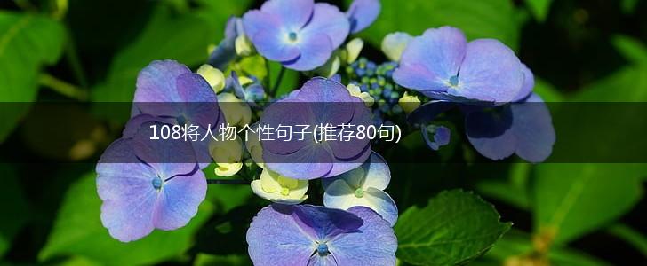108将人物个性句子(推荐80句),第1张