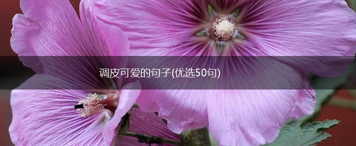 调皮可爱的句子(优选50句),第1张