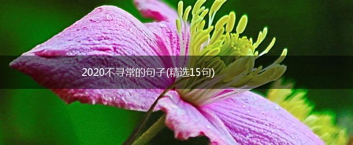 2020不寻常的句子(精选15句),第1张
