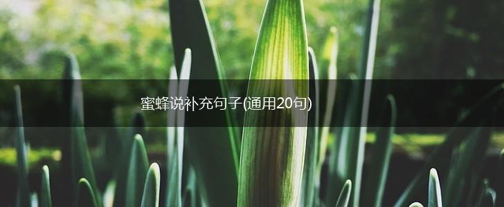 蜜蜂说补充句子(通用20句),第1张