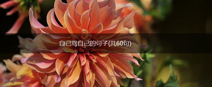自己骂自己的句子(共60句),第1张