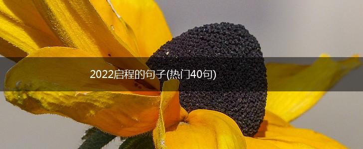 2022启程的句子(热门40句),第1张
