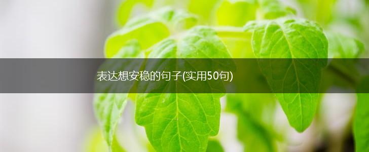 表达想安稳的句子(实用50句),第1张