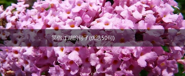 笑傲江湖的句子(优选50句),第1张