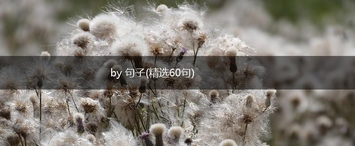 by 句子(精选60句),第1张