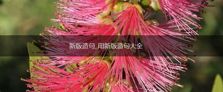 新版造句_用新版造句大全,第1张