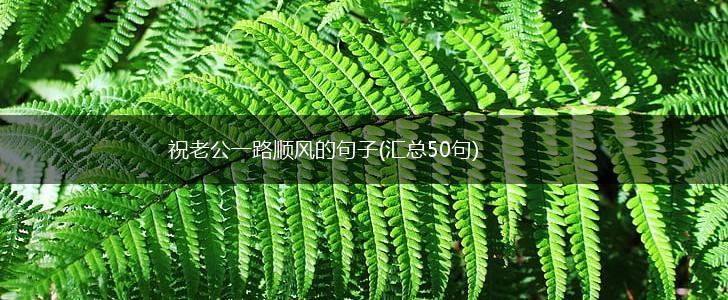 祝老公一路顺风的句子(汇总50句),第1张