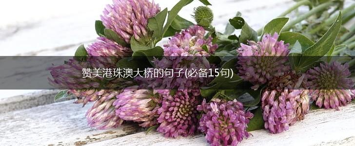赞美港珠澳大桥的句子(必备15句),第1张