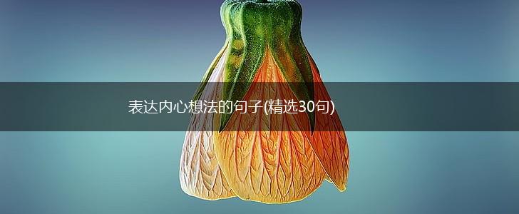 表达内心想法的句子(精选30句),第1张