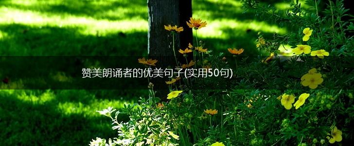 赞美朗诵者的优美句子(实用50句),第1张