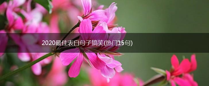 2020最佳表白句子搞笑(热门15句),第1张