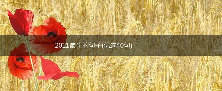 2011最牛的句子(优选40句),第1张